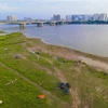 Bãi bồi ven sông Hồng mở ra nhiều cơ hội để xây dựng các không gian sáng tạo. (Ảnh: TTXVN phát)