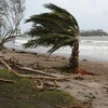 Bão nhiệt đới tàn phá đảo quốc Vanuatu. (Nguồn: Reuters)