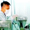 Bột matcha và các sản phẩm mới từ trà hoa vàng được nghiên cứu, sáng tạo để tăng sức cạnh tranh của sản phẩm trên thị trường. (Nguồn: baoquangninh.com.vn)