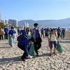 Các tình nguyện viên tham gia nhặt rác, dọn vệ sinh môi trường trên bãi biển Đà Nẵng. (Ảnh: Trần Lê Lâm/TTXVN)