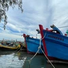 Tàu thuyền neo đậu tại thành phố Phan Thiết. (Nguồn: baobinhthuan.com.vn)