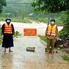 Bộ đội Biên phòng trên tuyến biên giới khu vực các huyện miền núi Minh Hóa, Tuyên Hóa (tỉnh Quảng Bình) cắm bảng cảnh báo tuyên truyền người dân không qua lại khu vực nguy hiểm nhằm đảm bảo an toàn. (Ảnh: TTXVN phát)