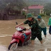 Lực lượng vũ trang huyện Quỳnh Lưu hỗ trợ người dân địa phương đi qua các đoạn bị ngập nước. (Ảnh: TTXVN phát)