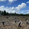 Phú Quốc ra quân kiểm tra, xử lý những người vi phạm lấn chiếm, phá rừng trái phép trên địa bàn. (Nguồn: kiengiang.gov.vn)