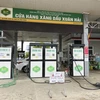 Lực lượng Quản lý thị trường tỉnh Ninh Thuận kiểm tra tình hình buôn bán xăng dầu tại cửa hàng xăng dầu Xuân Hải (xã Xuân Hải, huyện Ninh Hải). (Ảnh: TTXVN phát)