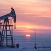 Cơ sở khai thác dầu tại Almetyevsk, Nga. (Ảnh: AFP/TTXVN)