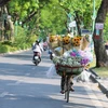 Xe hoa rong trên đường Thanh Niên. (Ảnh: Khánh Hoà/TTXVN)