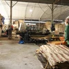 Xưởng chế biến gỗ bóc của Công ty Cổ phần Yên Thành (thị trấn Yên Bình, huyện Yên Bình). (Ảnh: Tiến Khánh/TTXVN)