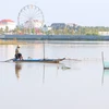 Người dân huyện Vị Thủy bắt cá trên cánh đồng ngập nước. (Ảnh: Duy Khương/TTXVN)