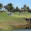 Các golfer chơi trên sân golf BRG Đà Nẵng. (Ảnh: Trần Lê Lâm/TTXVN)
