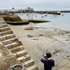 Lượng lớn hạt vi nhựa được tìm thấy trên bờ biển Brittany, Pháp. (Nguồn: preventingplasticpollution.com)