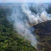 Khói bốc lên từ đám cháy rừng Amazon ở bang Amazonas, Brazil. (Ảnh: AFP/TTXVN)