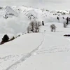 Khoảnh khắc tuyết lở từ đỉnh núi Apharwat. (Nguồn: PTI)