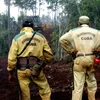 Lực lượng cứu hỏa và kiểm lâm Cuba đang chiến đấu với đám cháy rừng. (Nguồn: Prensa Latina)