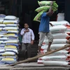 Công nhân vận chuyển gạo tại nhà kho ở Bangalore, Ấn Độ. (Ảnh: AFP/TTXVN)