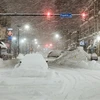 Tuyết rơi dày đặc tại Buffalo, New York, Mỹ. (Ảnh: AFP/TTXVN)