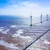 Nhà máy Điện gió Đông Hải I tại Trà Vinh, quy mô 25 trụ gió, tổng công suất 100MW, khánh thành ngày 16/1/2022. (Ảnh: TTXVN)