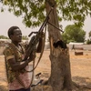 Binh sỹ Nam Sudan được triển khai tại khu vực Leer. (Ảnh: AFP/TTXVN)