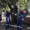 Công nhân sửa chữa đường dây điện tại Johannesburg, Nam Phi. (Ảnh: AFP/TTXVN)