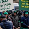 Nông dân Romania biểu tình phản đối nhập khẩu ngũ cốc Ukraine. (Nguồn: abcNews)