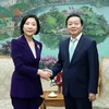 Phó Thủ tướng Trần Hồng Hà tiếp bà Oh Young-ju, Đại sứ Hàn Quốc tại Việt Nam. (Ảnh: Phạm Kiên/TTXVN)