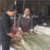 Mô hình đan nón bàng tại xã Mỹ Tịnh An. (Nguồn: Cổng thông tin điện tử tỉnh Tiền Giang)