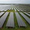 Nhà máy điện mặt trời Sao Mai-An Giang mỗi năm hoà vào lưới điện Quốc gia khoảng 400 triệu kWh. (Ảnh: Vũ Sinh/TTXVN)