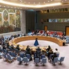 Toàn cảnh một phiên họp của Hội đồng Bảo an Liên hợp quốc. (Ảnh: THX/TTXVN)