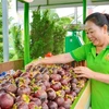Một tiểu thương với sản phẩm trái cây được bày bán tại Lễ hội Trái cây Nam bộ. (Ảnh: Hồng Giang/TTXVN)