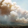 Khói bốc lên từ các đám cháy rừng ở Nova Scotia, Canada. (Ảnh: THX/TTXVN)