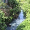 Đoạn kênh dẫn nước thải từ hồ điều hòa Bàu Cả (phường Lê Hồng Phong) ra sông Trà Khúc. (Ảnh: Đinh Hương/TTXVN)