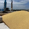 Ngũ cốc được chất tại cảng biển Izmail, vùng Odesa, Ukraine. (Ảnh: AFP/TTXVN)