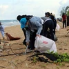 Các lực lượng tham gia thu gom rác thải dọc bờ biển thành phố Phú Quốc. (Ảnh: Lê Sen/TTXVN)