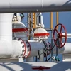 Hệ thống đường ống dẫn dầu Druzhba. (Nguồn: AA)