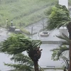 Gió mạnh kèm theo mưa do ảnh hưởng của bão Khanun tại Okinawa, Nhật Bản. (Ảnh: Kyodo/TTXVN)