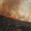 Khói lửa bốc lên từ đám cháy rừng tại Soledad Canyon, California, Mỹ, ngày 25/7. (Ảnh: AFP/TTXVN)