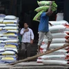 Công nhân vận chuyển gạo tại khu chợ ở Bangalore, Ấn Độ. (Ảnh: AFP/TTXVN)