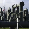Hệ thống đường ống dẫn khí tại cơ sở khai thác khí đốt gần Garelsweerd, tỉnh Groningen, Hà Lan. (Ảnh: AFP/TTXVN)