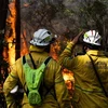 Nhân viên cứu hỏa nỗ lực khống chế các đám cháy rừng ở Bắc Sydney, Australia. (Ảnh: AFP/TTXVN)