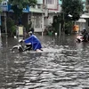 Đường Hồ Học Lãm (quận Bình Tân) chìm trong biển nước. (Ảnh: Hồng Giang/TTXVN)
