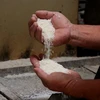 Indonesia nhập khẩu 1 triệu tấn gạo từ Thái Lan, Việt Nam, Pakistan và Myanmar. (Ảnh: Hồng Đạt/TTXVN)
