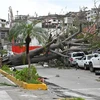 Cảnh tàn phá do siêu bão Otis tại Acapulco, bang Guerrero, Mexico. (Ảnh: THX/TTXVN)