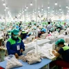Hoạt động sản xuất tại Khu công nghiệp Du Long (Thuận Bắc, Ninh Thuận). (Ảnh: TTXVN)