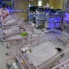 Nhân viên y tế chăm sóc em bé sơ sinh tại bệnh viện ở tỉnh An Huy, Trung Quốc. (Ảnh: AFP/TTXVN)