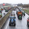 Nông dân Pháp phong tỏa đường cao tốc A1 nối Lille và Paris, tại Lesquin, miền Bắc Pháp. (Ảnh: THX/TTXVN)