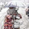 Hình ảnh đợt lạnh sâu, tuyết rơi dày đặc tại Trung Quốc