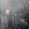 Cán bộ, chiến sỹ Đồn Biên phòng Xà Lực tham gia chữa cháy rừng trên đảo Phú Quốc. (Ảnh: TTXVN phát)