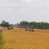 Thu hoạch lúa tại xã Mỹ Thành Nam, huyện Cai Lậy (Tiền Giang). (Ảnh: Minh Trí/TTXVN)