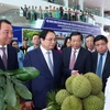 Thủ tướng Phạm Minh Chính tham quan gian trưng bày, giới thiệu sản phẩm nông nghiệp của tỉnh Vĩnh Long. (Ảnh: Dương Giang/TTXVN)