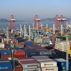 Quang cảnh cảng container ở Ninh Ba-Zhoushan, tỉnh Chiết Giang, Trung Quốc. (Ảnh: THX/TTXVN)